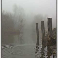 фото "Любимый сюжет"