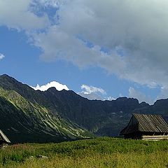 фото "Shepherds' land"