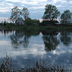 photo "Evening on a pond"