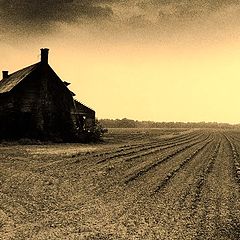 photo "Soybean Field and old farmstead"