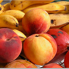photo "Tropical Fruits"