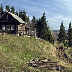 фото "Деревенский пейзаж с собаками"