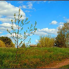 фото "ВЕСЕНЯЯ 2."