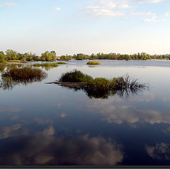 photo "The liquid sky"