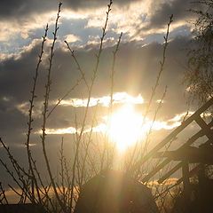 photo "Last beams"