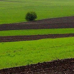 фото "Around Northern Bulgaria"