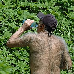 photo "Watering of Satyr"