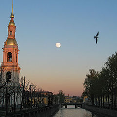 photo "White night in Saint Petersburg"