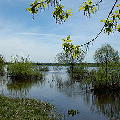 фото "БОЛЬШАЯ  ВОДА 4."