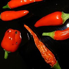 photo "Peppers"