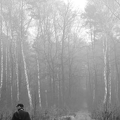 photo "still looking for"