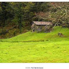 photo "house on the hill"