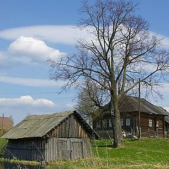 фото "Деревенская Весенне-Солнечная"