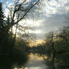 photo "May sight against the sun"