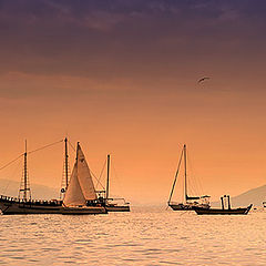 photo "Boats"