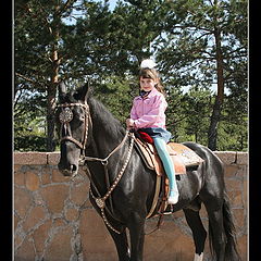 фото "Мой любимый конь!"