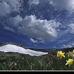 фото "Vercors Mai 2005"