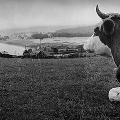 photo "Pastoral in B&W"