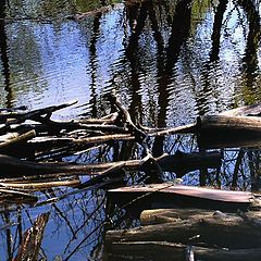 photo "High water."