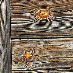 photo "wood"