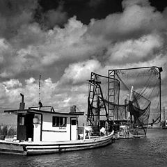 photo "shrimp boats"