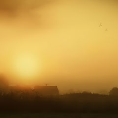 photo "Strange dawn"