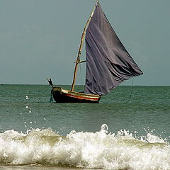 photo "Alone in the sea"