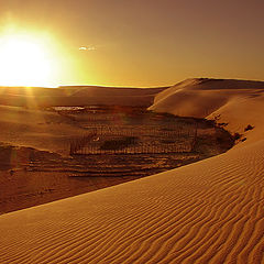 photo "Red Dunes"