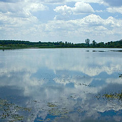 photo "Reflective Pond"