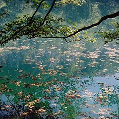 photo "Blue lake"