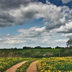 фото "Родные просторы..."