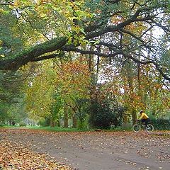 photo "crossing the park..."