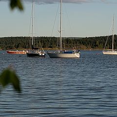 photo "Boats"