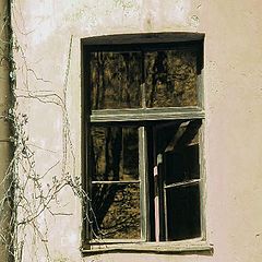 photo "a window"