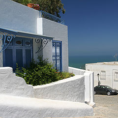 photo "White and Blue"