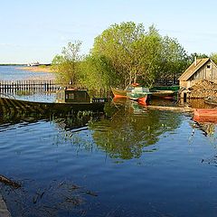 фото "Огородный порт"