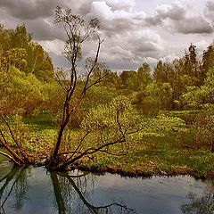 photo "When the sun in clouds."