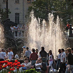 photo "People, Sun, Water"