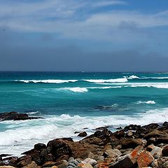 photo "Good Hope Cape,  (South Africa)"