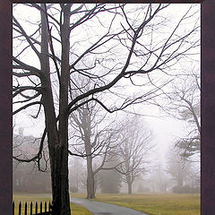 photo "Museum, The Foggy Day"