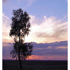 photo "Loneliness"