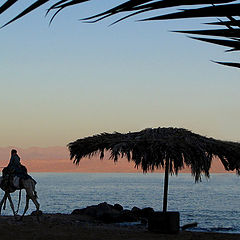 photo "Beduin on a camel passed past..."