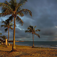 photo "Cotuvelo's Beach"