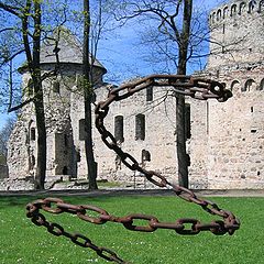 photo "chain-snake"