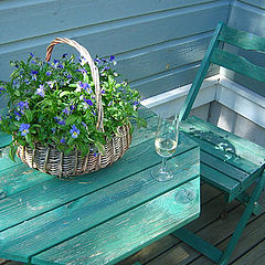 photo "Relaxing afternoon"
