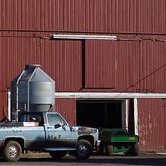 photo "on the farm..."