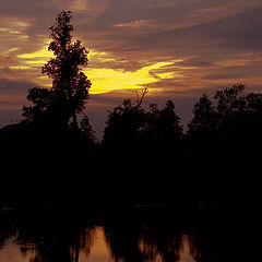 photo "Reflection"