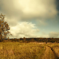 photo "Road to August."