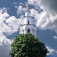 photo "Minster tree"