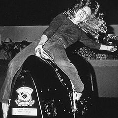 photo "Mechanical Bull"